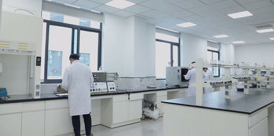 중국 AnHui Guofeng Wood-Plastic Composite Co., Ltd 회사 프로필