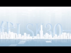 WPC 알루미늄 2 차 LSK30-50