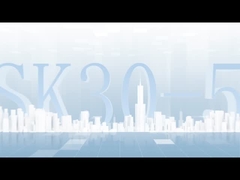 WPC 알루미늄 LSK30-50